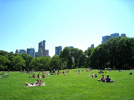 Rented by Landmark Resources | media 9