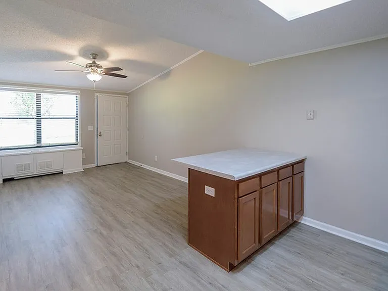 Open concept kitchen and living room with kitchen island