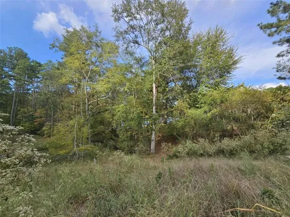 1272 N Edgewater Trl, Toccoa, GA 30577