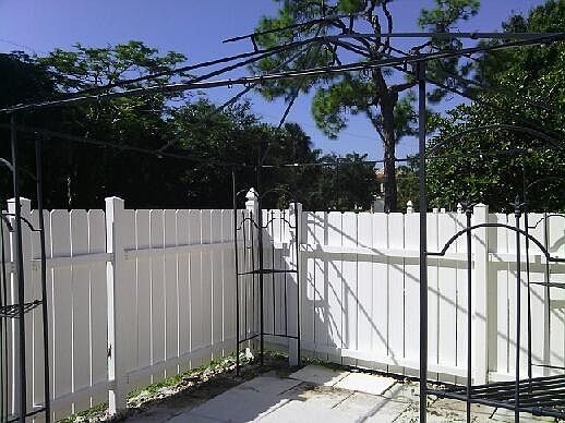 Back yard