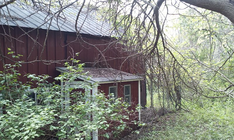 Behind Barn