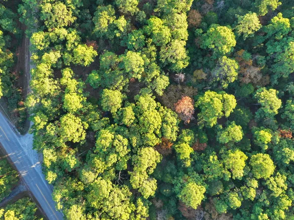 TBD Hekili Dr LOT 252, Bastrop, TX 78602