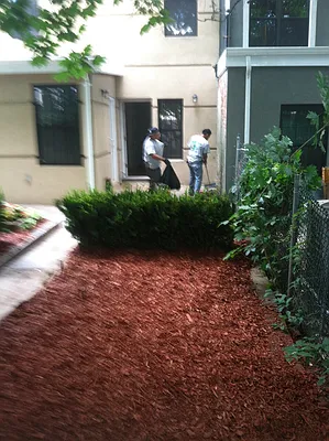 Rented by Urban Pads | media 16