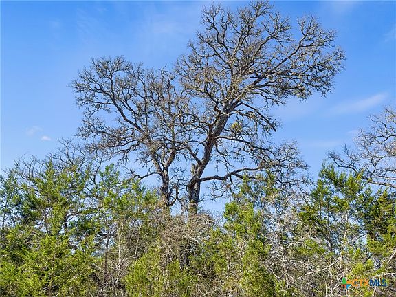 3rd image of 535 Left Fork Pl