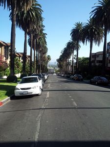 1750 Camino Palmero St APT 437, Los Angeles, CA, 90046