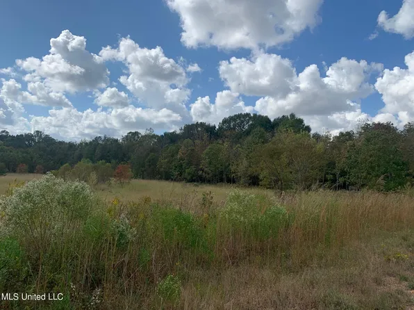 103 Central Blvd, Flora, MS 39071