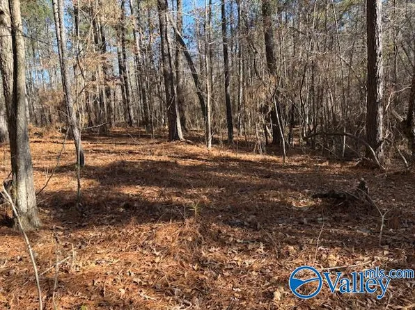 LOT 33 Odonnell Rd, Ashville, AL 35953