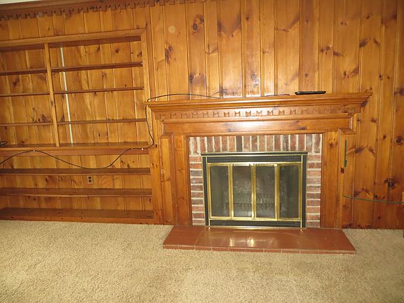 wood burning fireplace