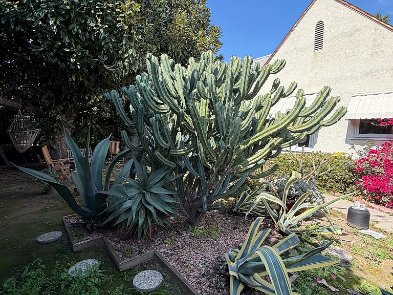 Front yard private to you