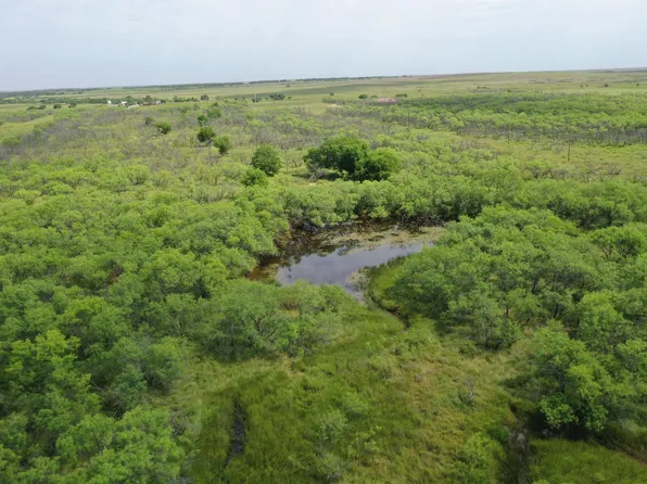 Fm 2321, Bellevue, TX 76228