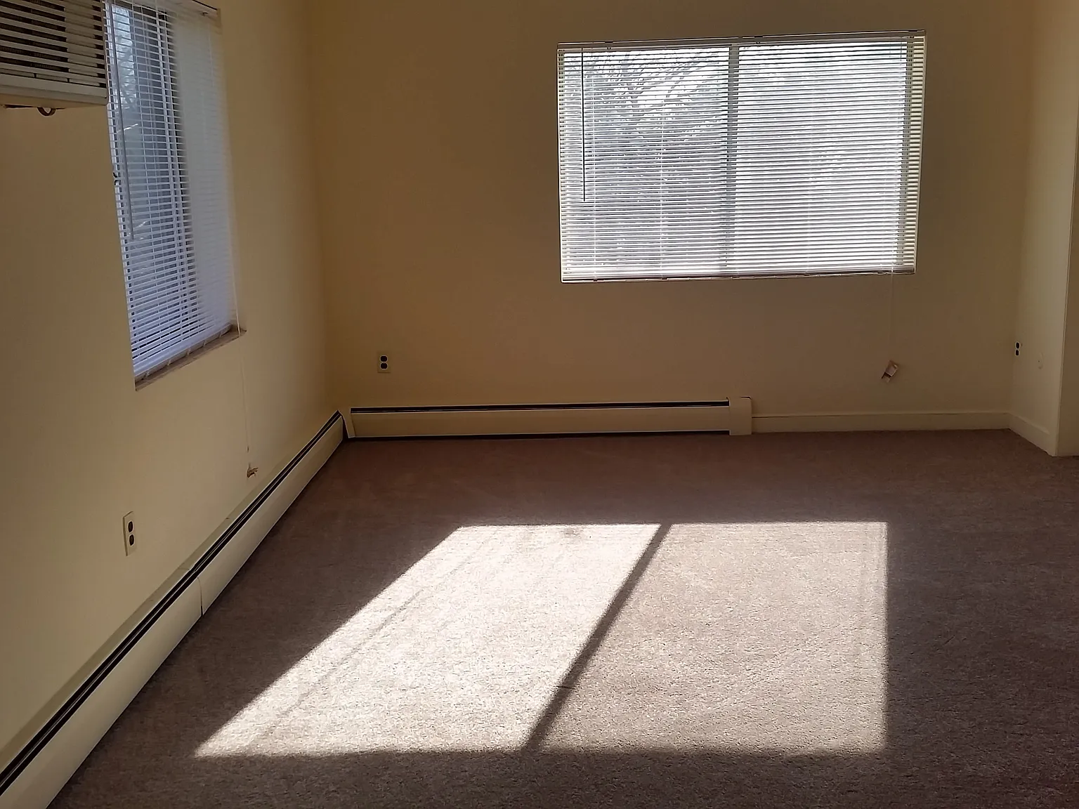 Studio, 275 sqft, $1,500 — Photo 3