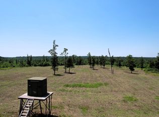 926 Summit Rd, Grovespring, MO 65662