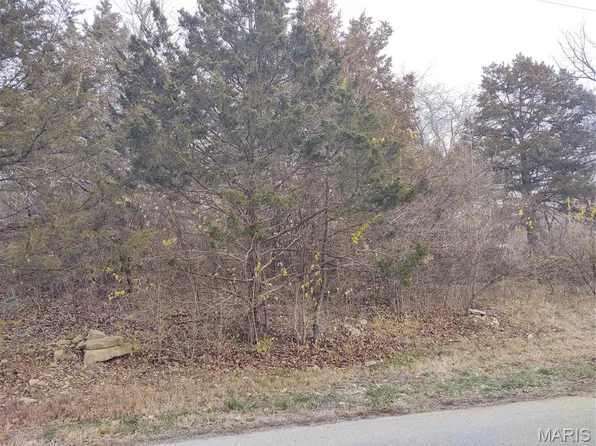 LOT Forty #&-41, House Springs, MO 63051