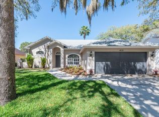 4131 Moreland Dr, Valrico, FL 33596