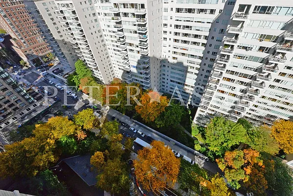 Rented by Peter Ashe | media 49