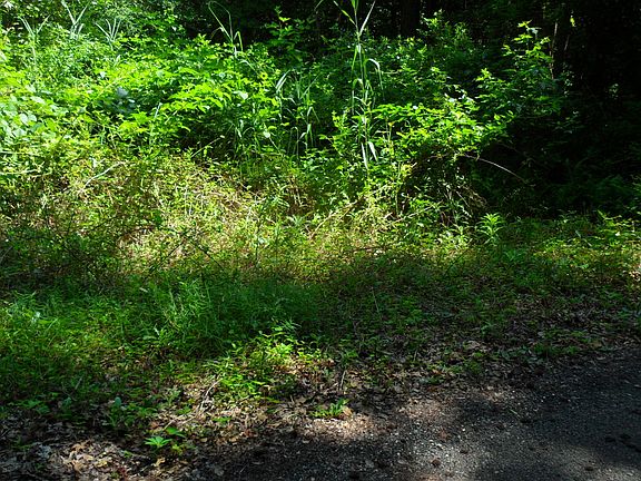 5th image of 63 Saint Andrews Dr