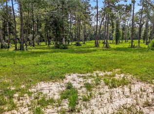 39492 Lees Landing Rd, Ponchatoula, LA 70454