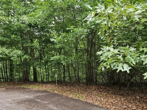 2290 Chicory Ct, Westminster, SC 29693