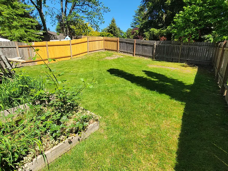 Back Yard Angle 3