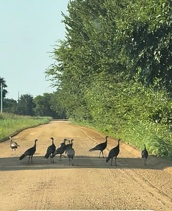 3rd image of 6600 E Delaware Rd