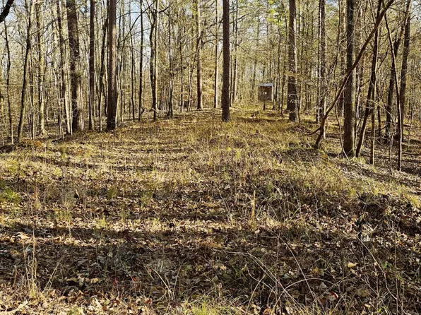 Campbell Rd, Lexington, MS 39095