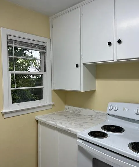 217 Fleming St #219 — Photo 11