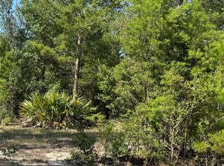 36 Chatterton Church Rd, Nicholls, GA 31554