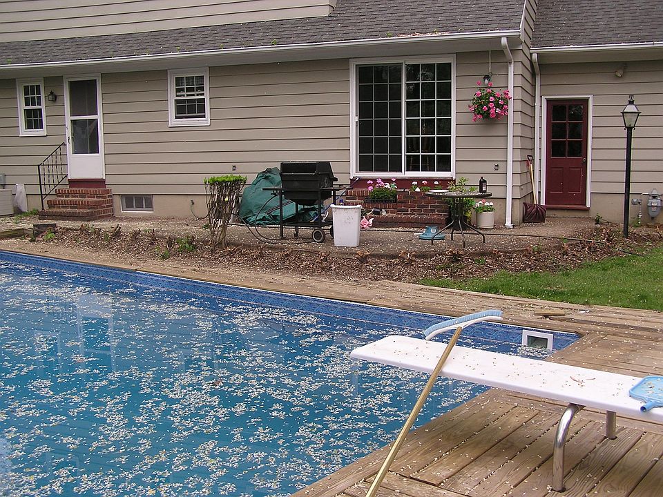 Backyard w gas barbecue