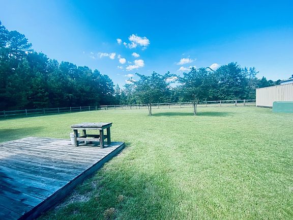 Backyard 4_10262022