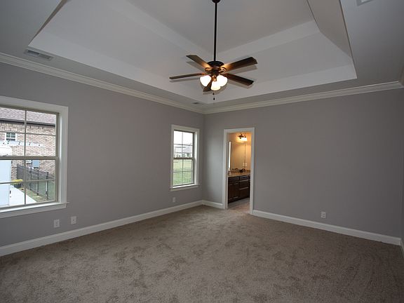 Mstr BR w/ Tray Ceiling