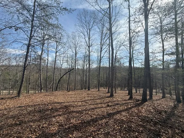 Poplar Bluff Rd Lot 1, Stanton, KY 40380