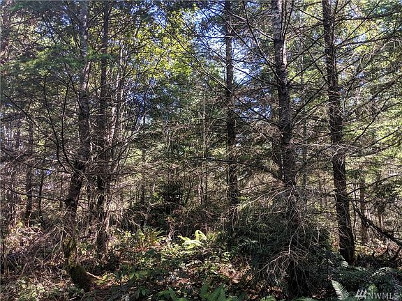 5th image of 2 Lone Bear Ln SW