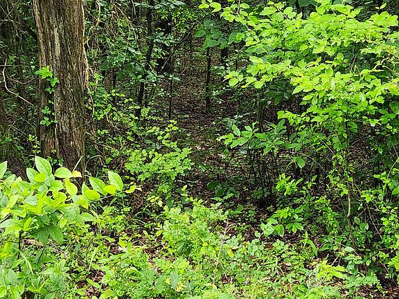 5th image of L-9 Sherwood Forest Ln #B