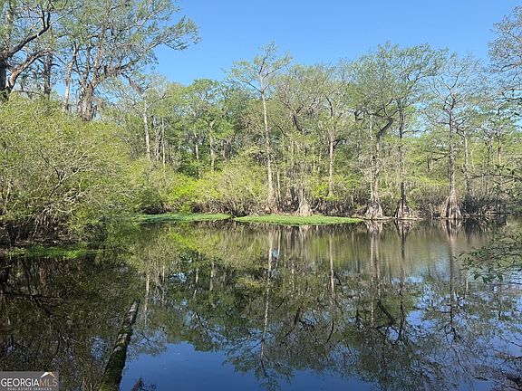 4th image of 315 High Bluff Rd