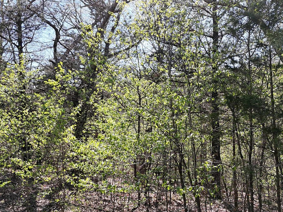1st image of Lot #94 Gumbo Woods