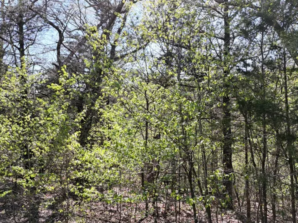 Lot #94 Gumbo Woods, Shell Knob, MO 65747