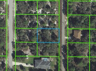 213 Corvair Ave NW, Lake Placid, FL 33852