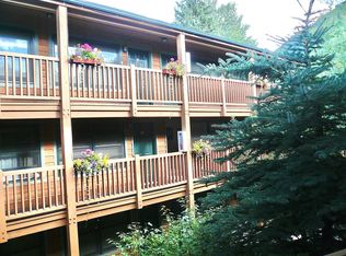 914 Waters Ave APT 6, Aspen, CO 81611