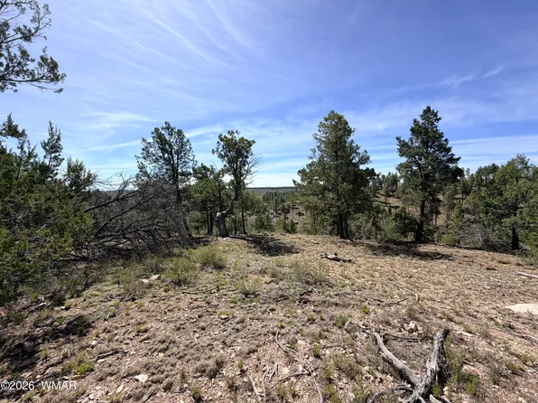 5088 Morning View Dr, Happy Jack, AZ 86024