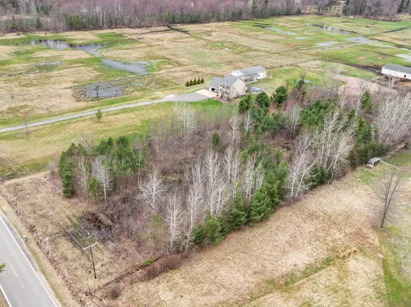 V/l W Nielsen Rd, Sanford, MI 48657