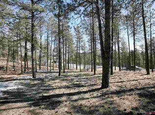 516 Monarch Crest Trl, Durango, CO 81301