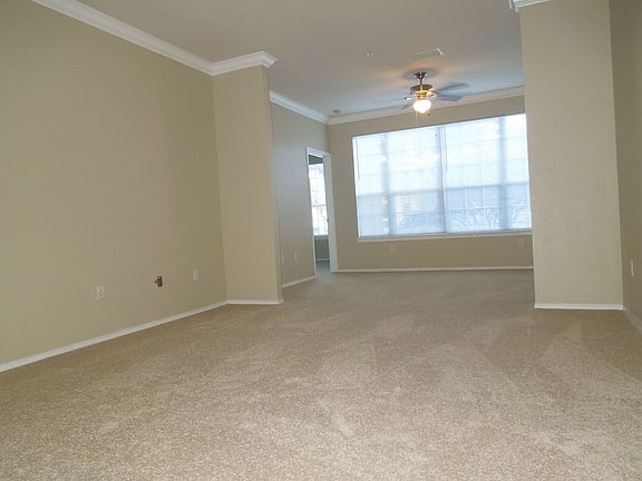 Living room - family room