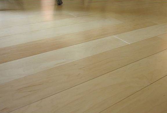 Canadian WHITE MAPLE