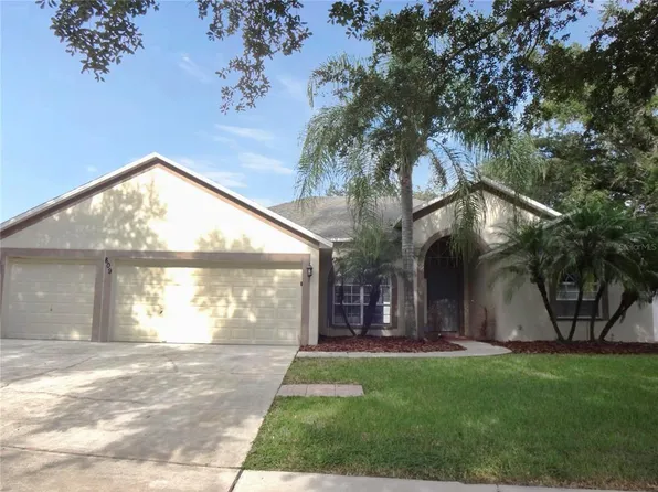 809 Innergary Pl, Valrico, FL 33594