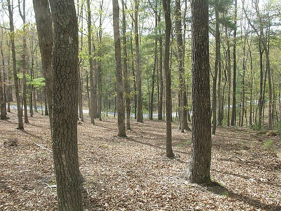 4th image of 50 Old Birch Ct