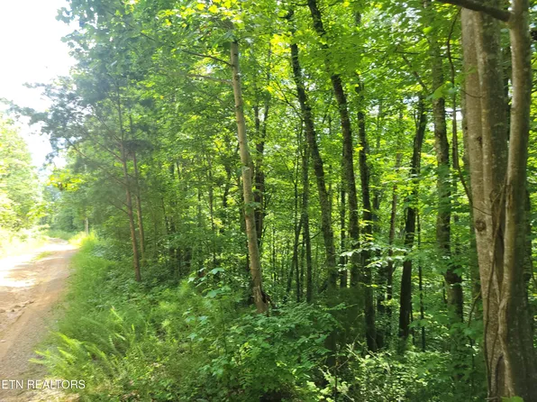 LOT 79 Yellowwood Dr, Sevierville, TN 37876