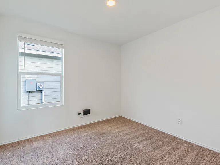 4109 Cataract Cir — Photo 23