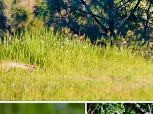 1 Old Stonegate Ct, Oakhurst, CA 93644