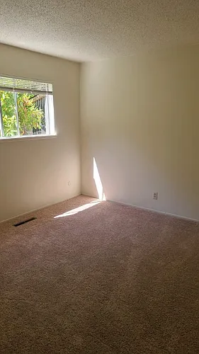 3686 Poinciana Dr #2 Photo 1