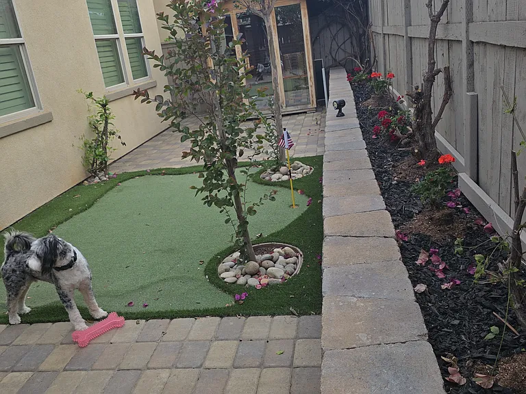 Swaying Palms Way — Photo 10
